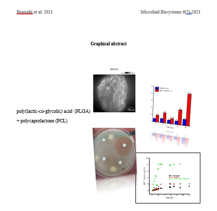 Synthesis and characterization of Erythromycin loaded PLGA and PCL microspheres: Antimicrobial application 